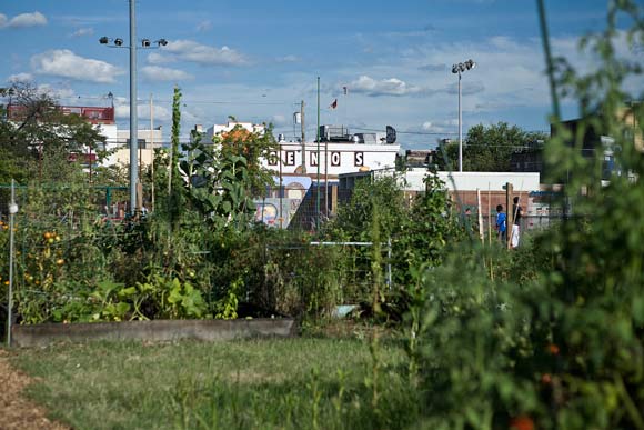 View from Capitolo Park - Passyunk Square