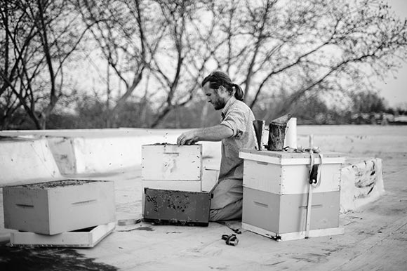 Flemming tends to a hive one of many maintaned by Urban Apiaries