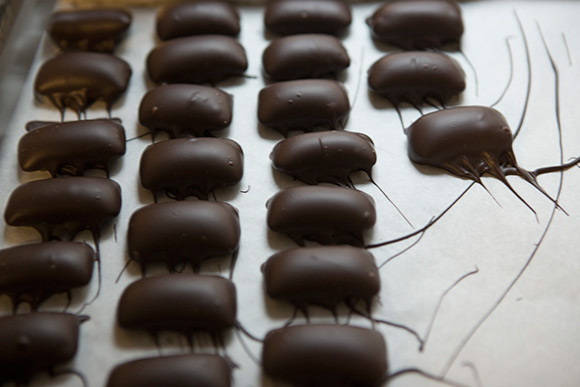 Chocolates cool by the window after dipping