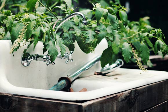 An overgrown sink behind the garden