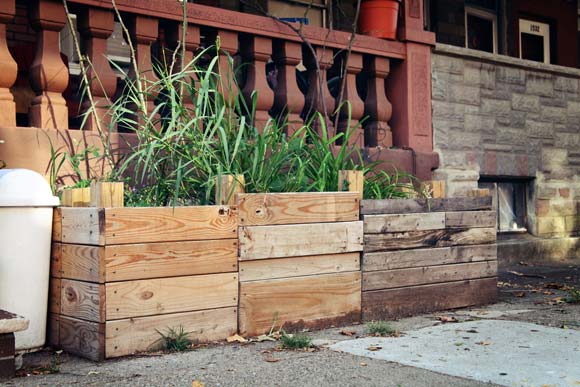 Planters built by Tivoni out of scrap lumber.