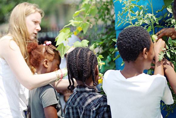 Students take a look at the tomatoes that they planted.