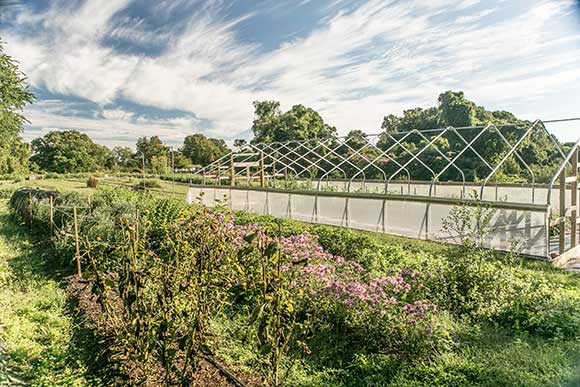 Late day view of the Love's Flower farm