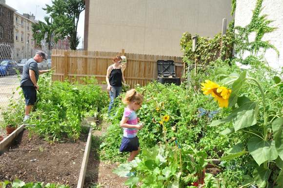 South Philly Food Co-op's South Philly Garden Tour