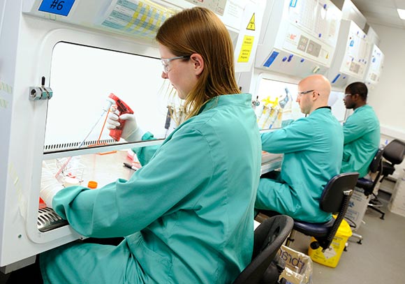 Adaptimmune laboratory  Scientists growing research cells