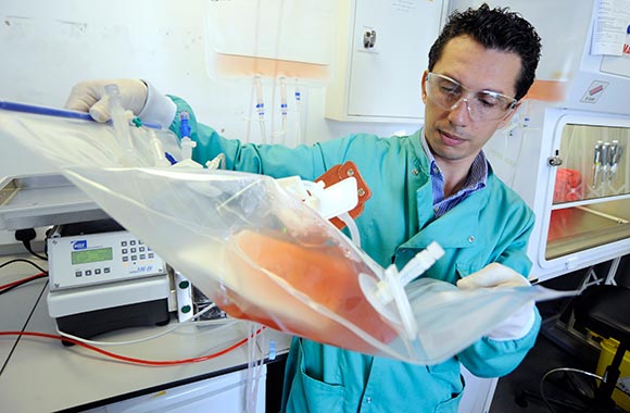 Adaptimmune laboratory  Scientists growing a cell therapy product