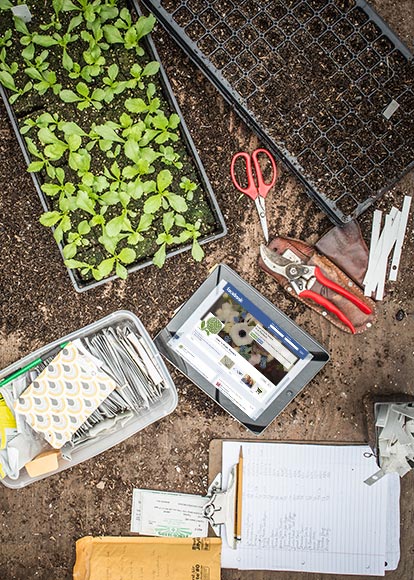 Jennie's greenhouse workspace