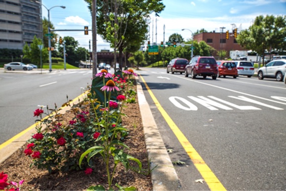 A landscaped median on University Avenue