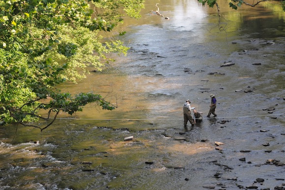 Delaware River Watershed