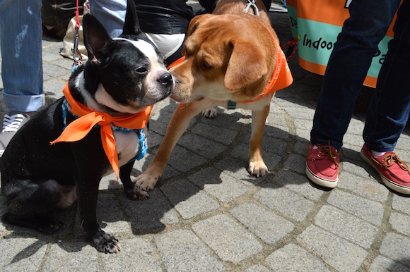 New friends at CNKP Super Adoption Day 2016