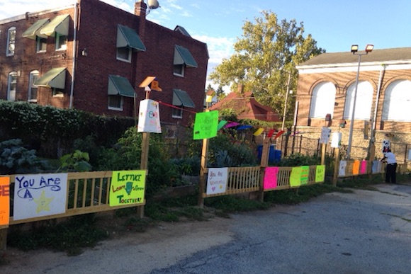 Garden beds at Kelly Green