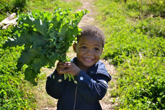 Connecting local kids to food