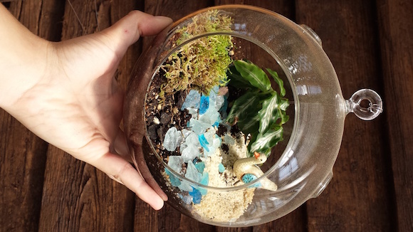 Linvilla Orchards' Build Your Own Terrarium workshop