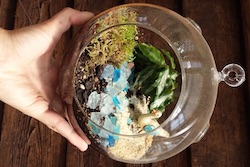 Linvilla Orchards' Build Your Own Terrarium workshop