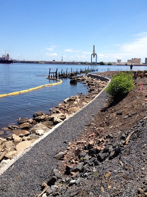 The view from Pier 53