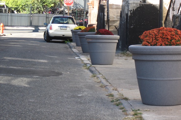 Planters in Somerset