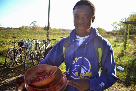 Students work at the Farm