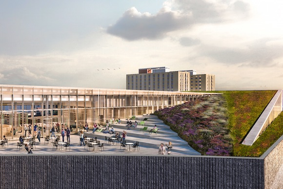 Rendering of the Temple library green roof