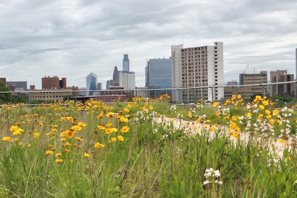 A rooftop garden overlooks University City 