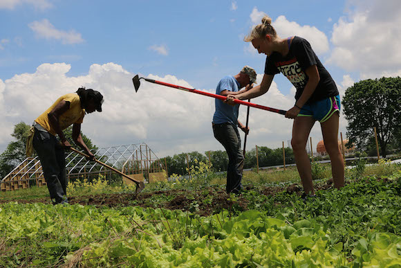 The Farm at Bartram's Garden