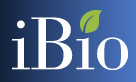 iBio