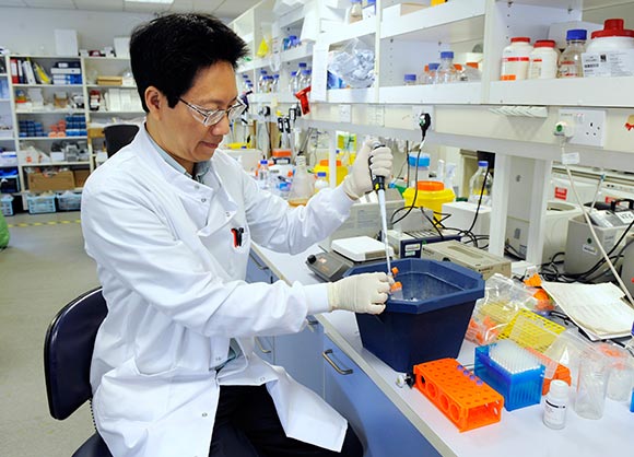 Adaptimmune laboratory � Scientist cloning a TCR