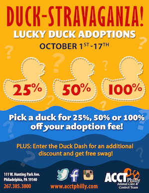 ACCT Philly Duck Dash