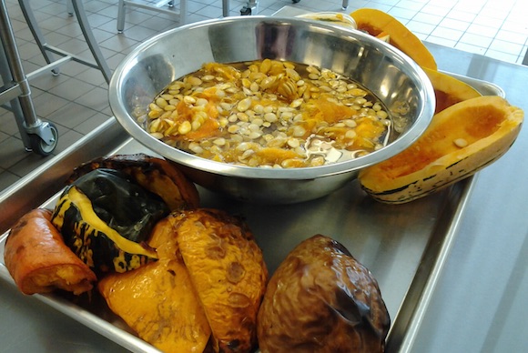 Prepping squash for the class